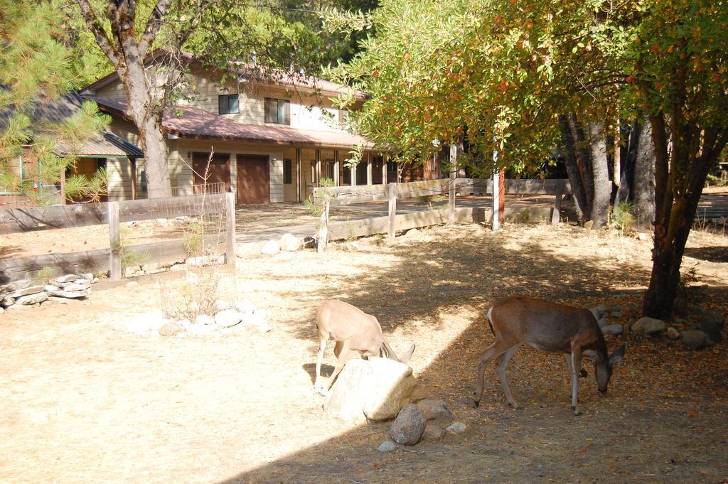 9N Fox Hollow Wawona Exterior foto