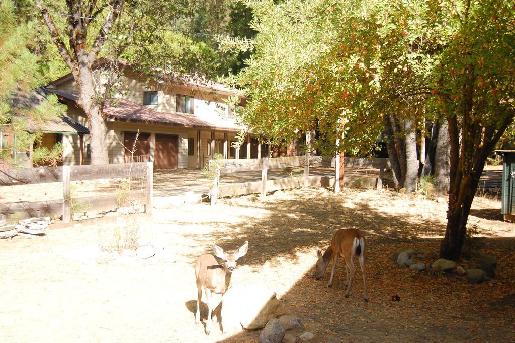 9N Fox Hollow Wawona Exterior foto